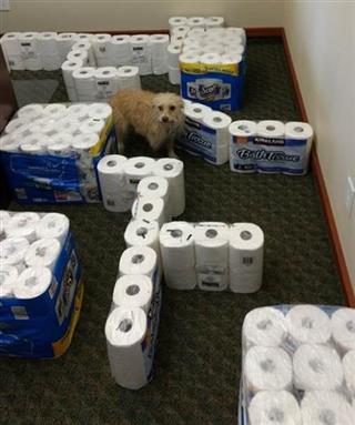 Picture1 (Small) (Mobile).jpg