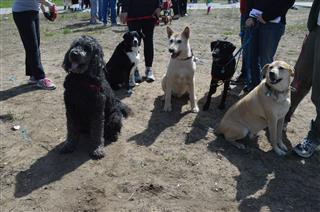 DSC_6931 (Mobile).JPG